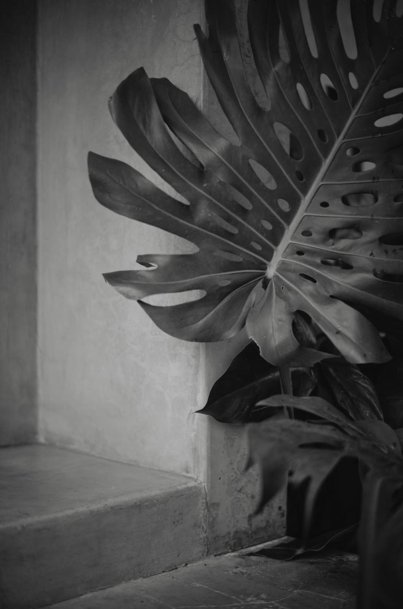 Anzan Atitlan Bed & Breakfast San Marcos La Laguna Luaran gambar